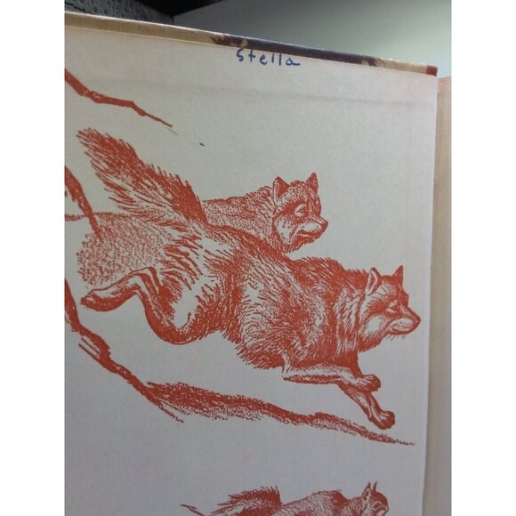 1934 Homes and Habits of Wild Animals Walter Weber Illustrations Children's Book - Picture 5 of 16